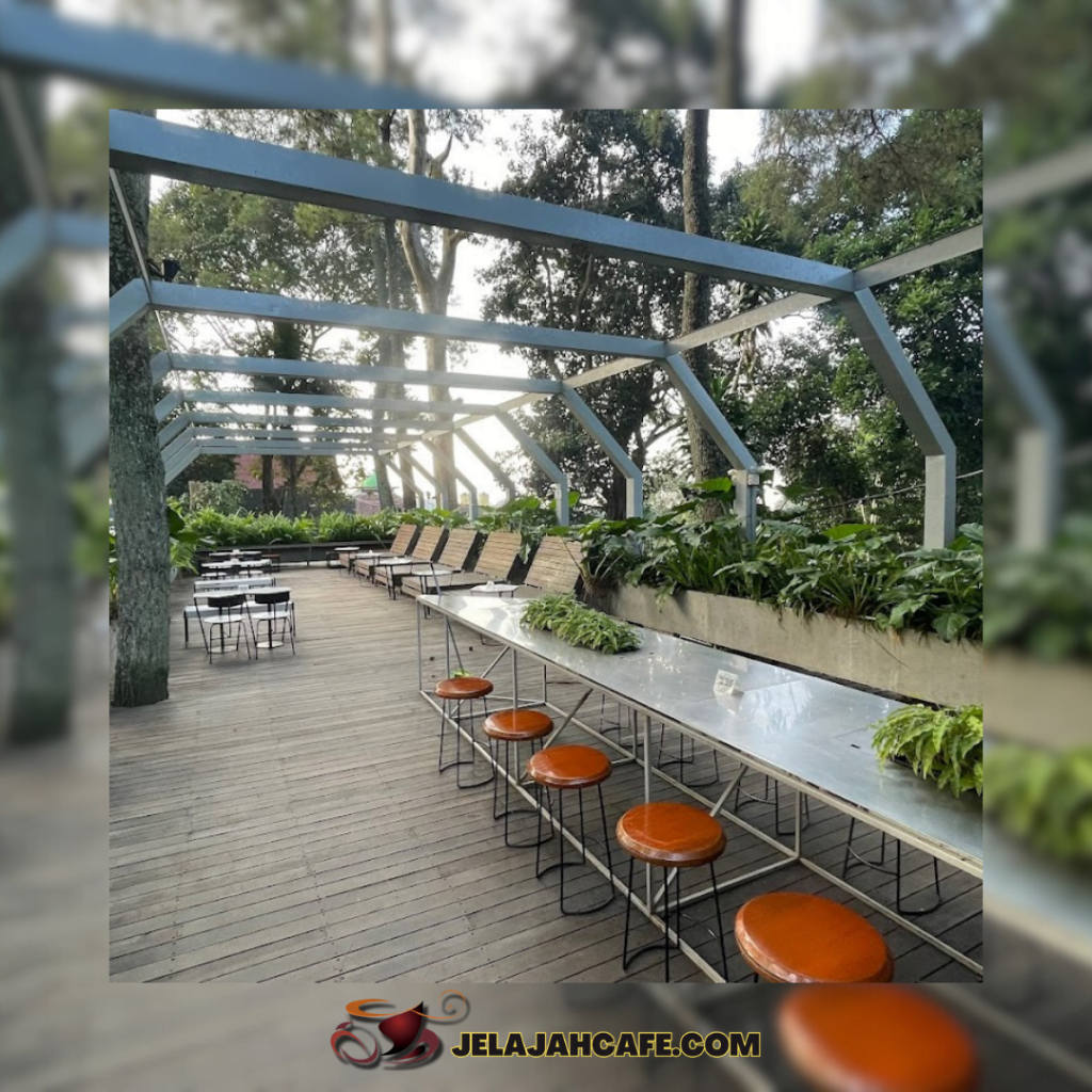 Foresta Coffee