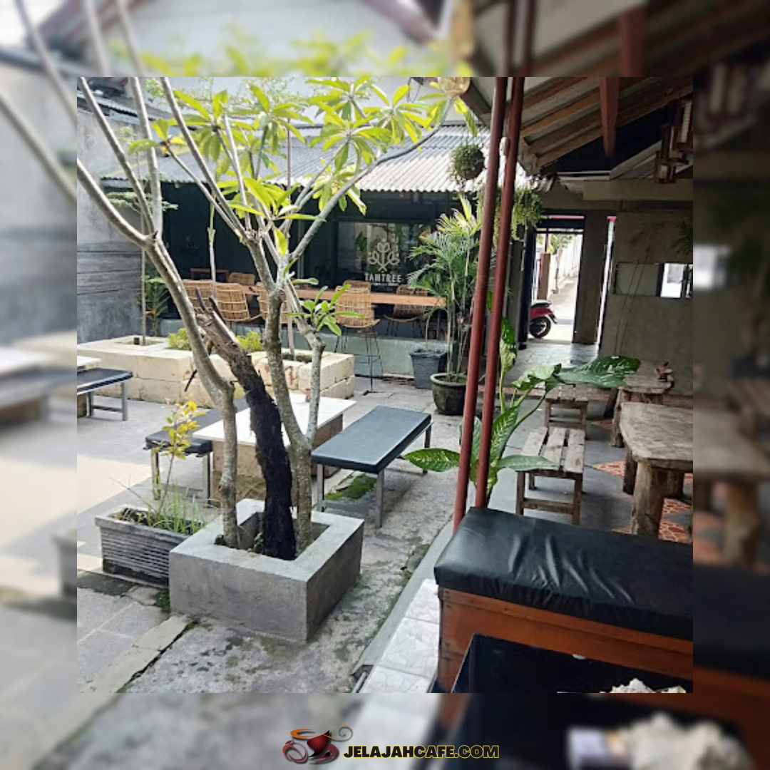 Cafe Tam Tree